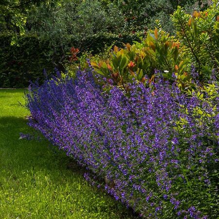 Relais Corte Rodeschi Camaiore Zewnętrze zdjęcie