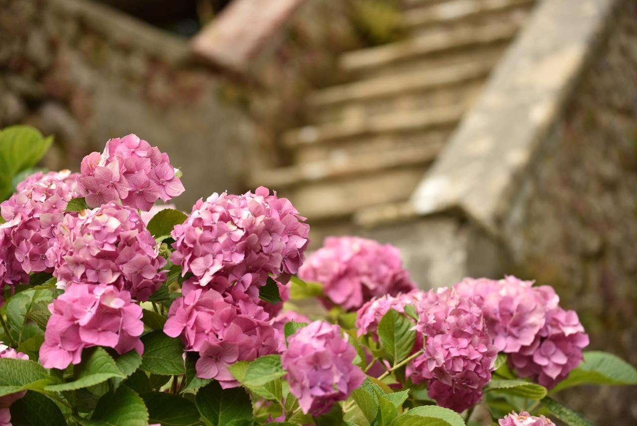 Relais Corte Rodeschi Camaiore Zewnętrze zdjęcie