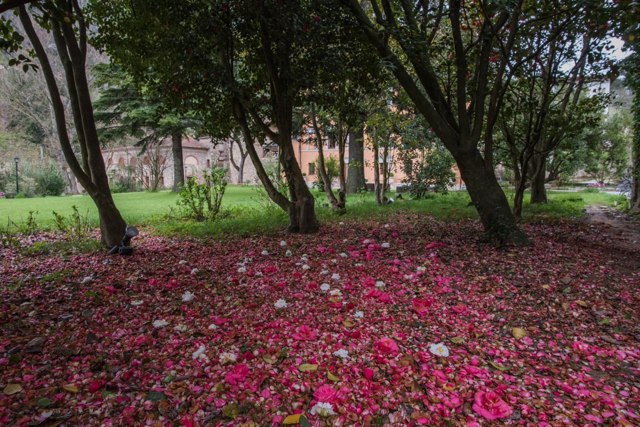 Relais Corte Rodeschi Camaiore Zewnętrze zdjęcie