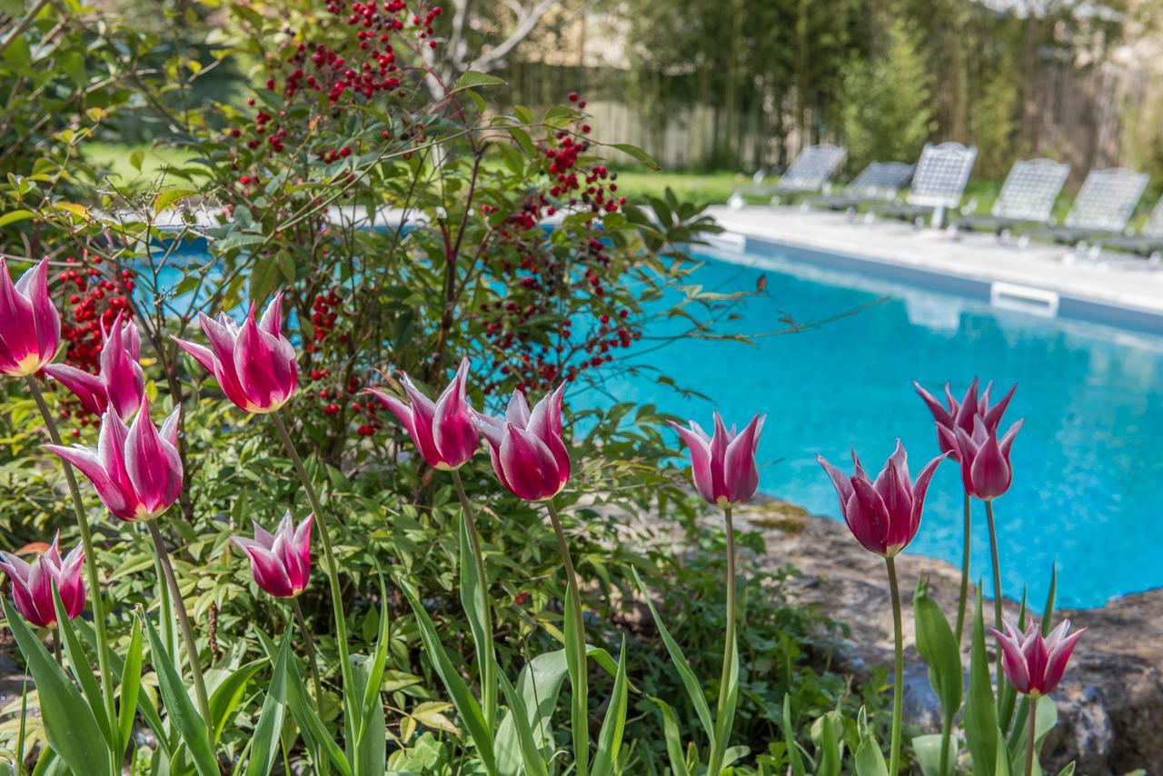 Relais Corte Rodeschi Camaiore Zewnętrze zdjęcie