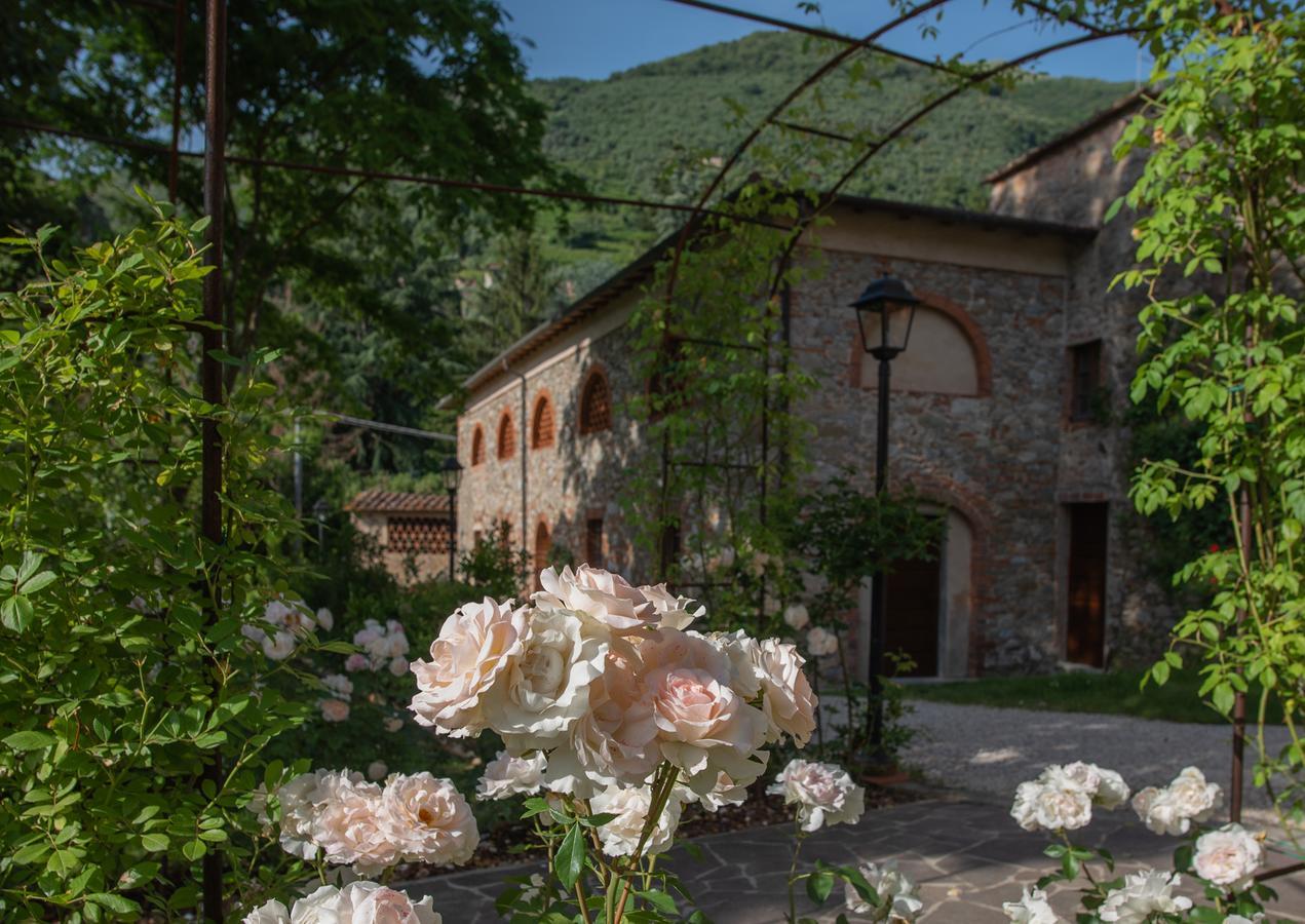 Relais Corte Rodeschi Camaiore Zewnętrze zdjęcie