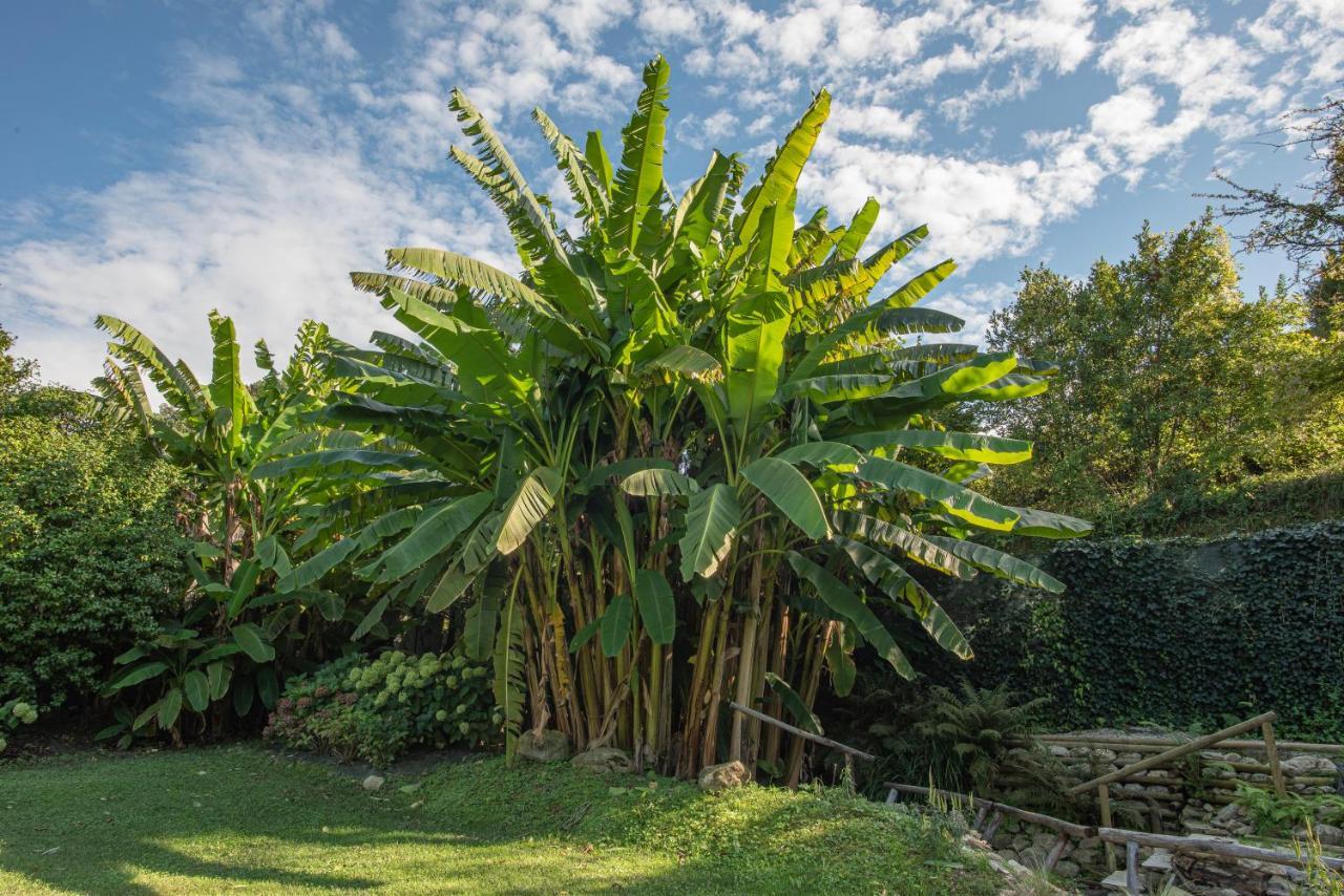 Relais Corte Rodeschi Camaiore Zewnętrze zdjęcie