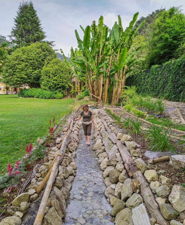 Relais Corte Rodeschi Camaiore Zewnętrze zdjęcie